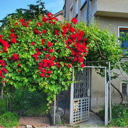 بيت للعطل Paganini House Close To Center And Rowing Canal *